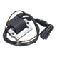 thumbnail image 1 of Bobina De Encendido De 12 V, Bobina De Encendido De Motosierra Fácil De Instalar Alto Rendimiento Ajuste Perfecto Acero ABS Para XL185, 1 of 7