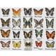 thumbnail image 5 of Hilo Algodón Ecológico Bordado Parcial Punto Cruz Mariposa 14 Quilates 56x44cm, 5 of 8