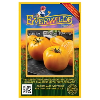Everwilde Farms - 500 Organic Italian Giant Parsley Seeds - Gold Vault Packet