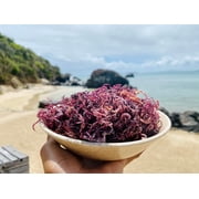 Dried Purple SeaMoss 3oz | Direct ocean to you | Makes 60oz sea moss gel