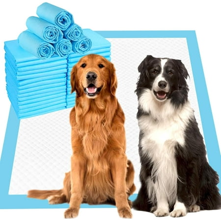 40 Count Dog Pee Pads Extra Large 36 x36 Pee Pads for Dogs Absorbent & Leak-Proof Disposable Pet Training and Puppy Pads for Cats Dogs Rabbit
