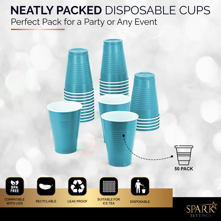 DecorRack 120 Party Cups 12 oz Disposable Plastic Cups for Birthday Party  Bachelorette Camping Indoo…See more DecorRack 120 Party Cups 12 oz