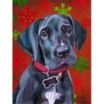 thumbnail image 1 of Carolines Treasures LH9579CHF Noir Great Dane Puppy Drapeau de Noël en Toile Flocons de Neige Rouges Taille Maison, 1 of 4