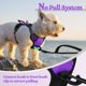 thumbnail image 5 of Arnés para perros Rabbitgoo, sin tirones, ajustable, morado, para perros XS, 5 of 8