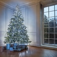 thumbnail image 3 of Danson Décor 200 C6 Plug In LED String Light, Pure White, 3 of 4