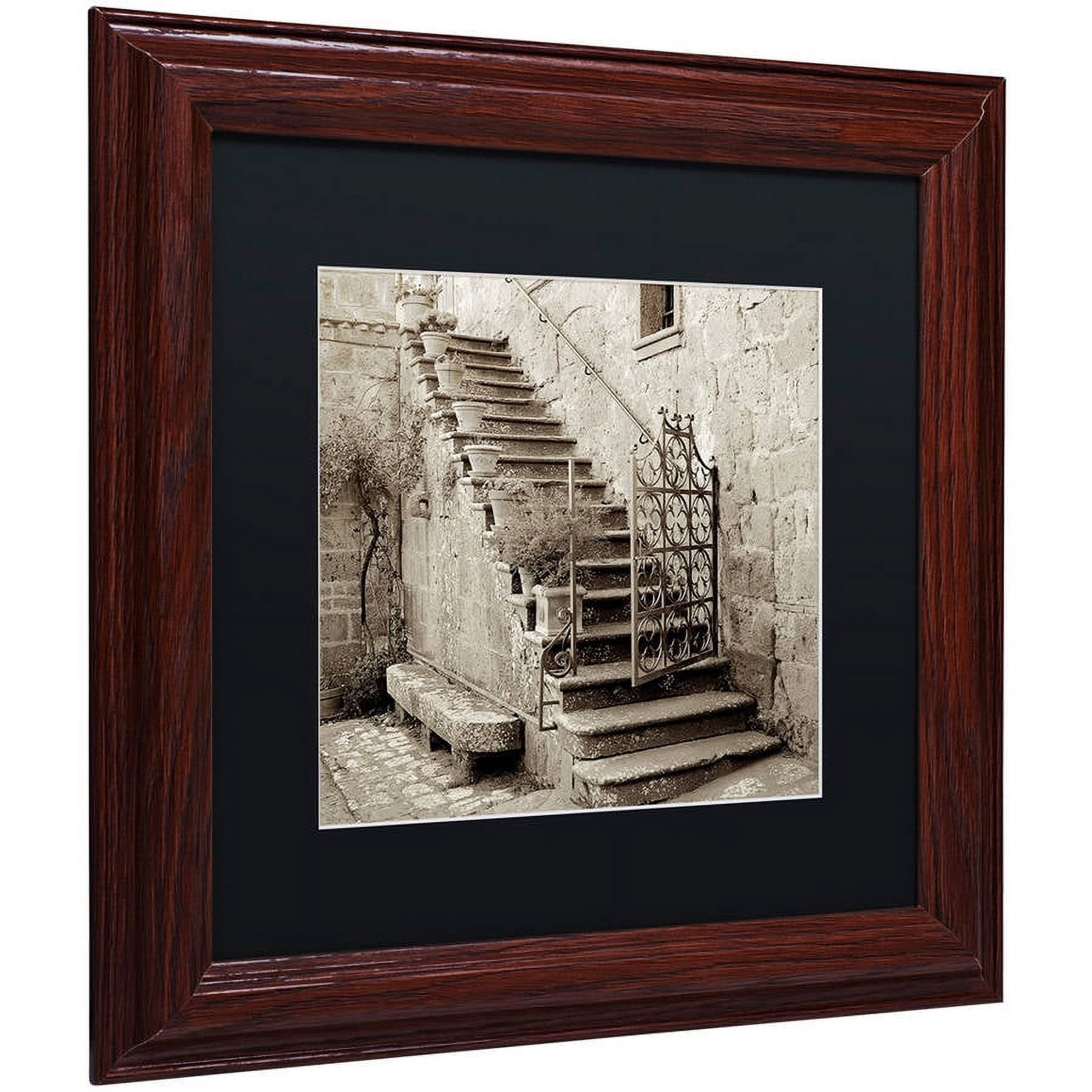 Trademark Fine Art "Umbria Scala I" Canvas Art by Alan Blaustein, Black Matte, Wood Frame