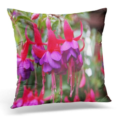 Pink And Green Pillows ECCOT Colorful Flower Pink and Purple Fuschia Green Fuchsia Pillowcase Pillow Cover Cushion Case 20x20 inch ()