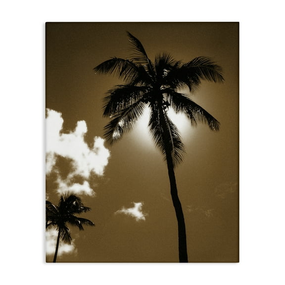 Stupell Industries Sunlight Through Palms Landscape Photography Gallery Wrapped Canvas Art Print Wall Art, 16 x 20