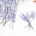 thumbnail image 5 of 50 Pcs Dried Lavender Topboutique Real Dried Flower Purple Pressed Flowers Bulk Natural Pressed Flowers for Weeding Decoration Scrapbooking Photo Props DIY Scrapbooking Flower Arrangements, 5 of 6