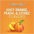 thumbnail image 3 of Arbor Mist Peach Moscato Sweet Fruit Wine, 1.5L Bottle, 3 of 5