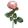 thumbnail image 1 of Pink And White Charlotte Rose Artificial Flower, 1 of 1