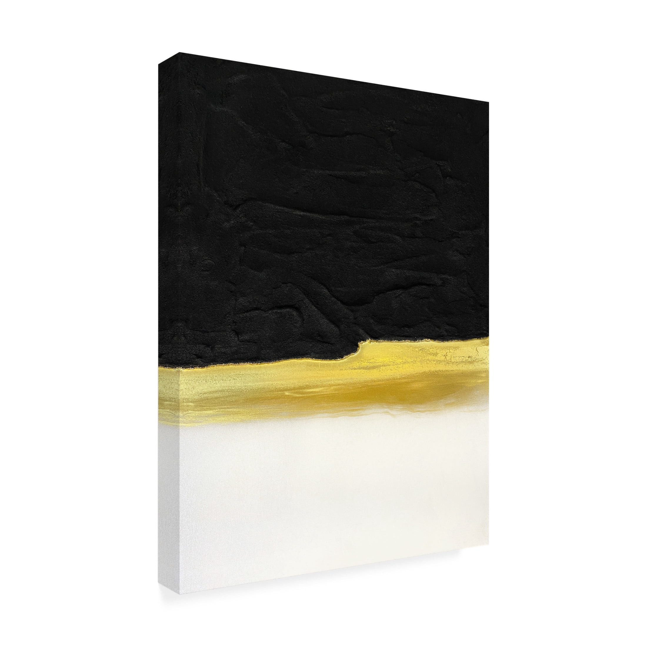 Trademark Fine Art Alyson Storms Black and White Golden Light Canvas Wall Art