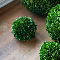 Park Hill Collection Preserved Boxwood Ball, 10"