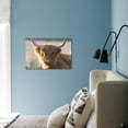 thumbnail image 2 of Highland Cattle, Animals Scenic Unframed Photographic Print Wall Art Sold by Art.Com, 2 of 4