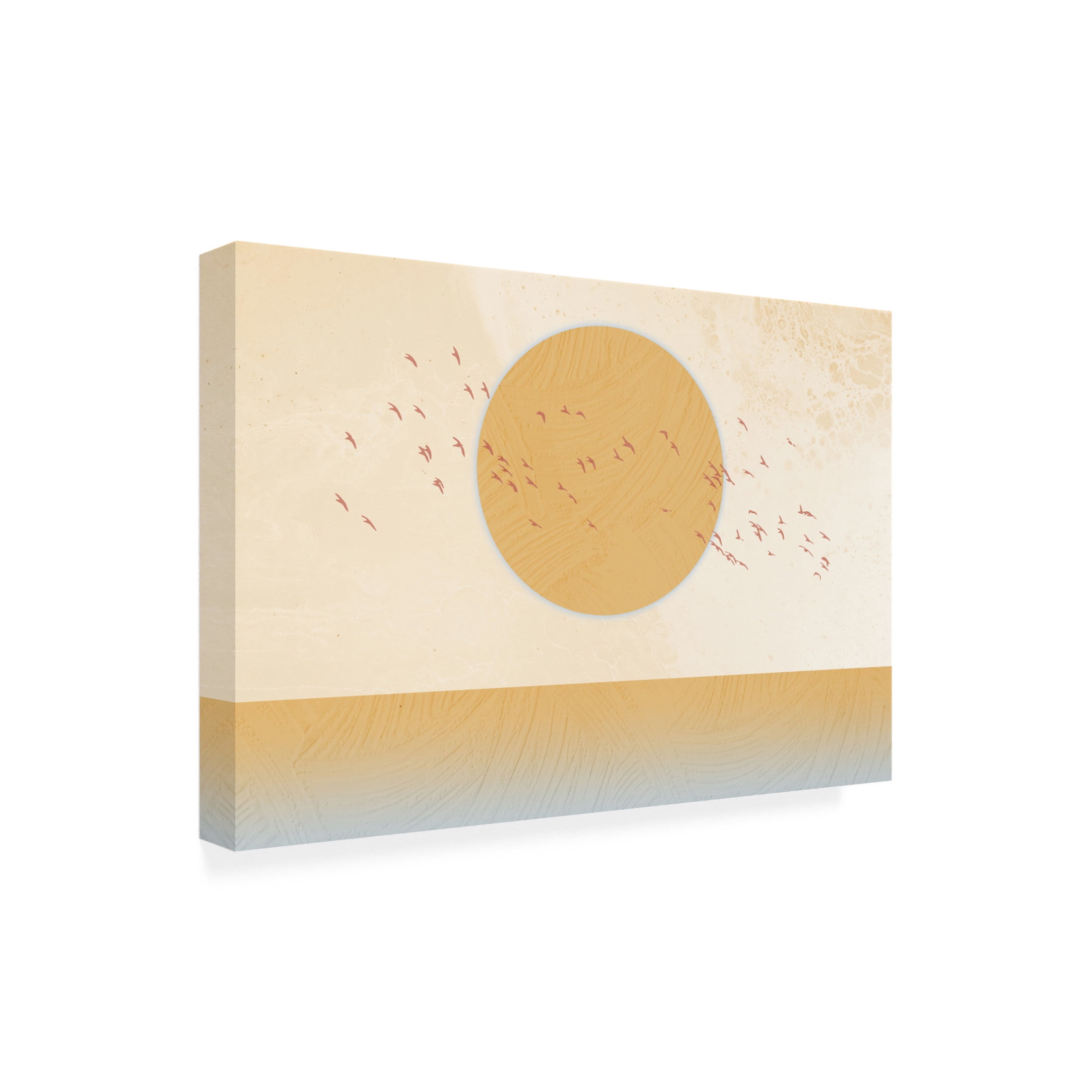 Trademark Fine Art Fadil Roze  Golden Sun Canvas Wall Art