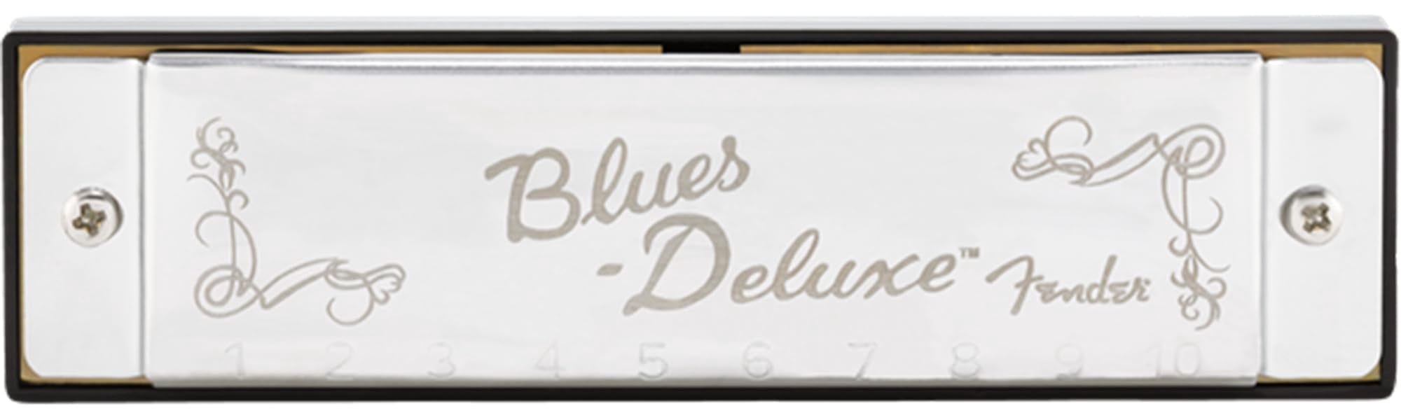 Fender Blues Deluxe Harmonica - Key of D Bundle with Carrying Case, Austin Bazaar Online Manual and Polishing Cloth
