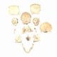 thumbnail image 4 of Medical-Skull Human Body Model Education Skull Model 1:2 for Student Teaching Study Assembling Model, 4 of 5
