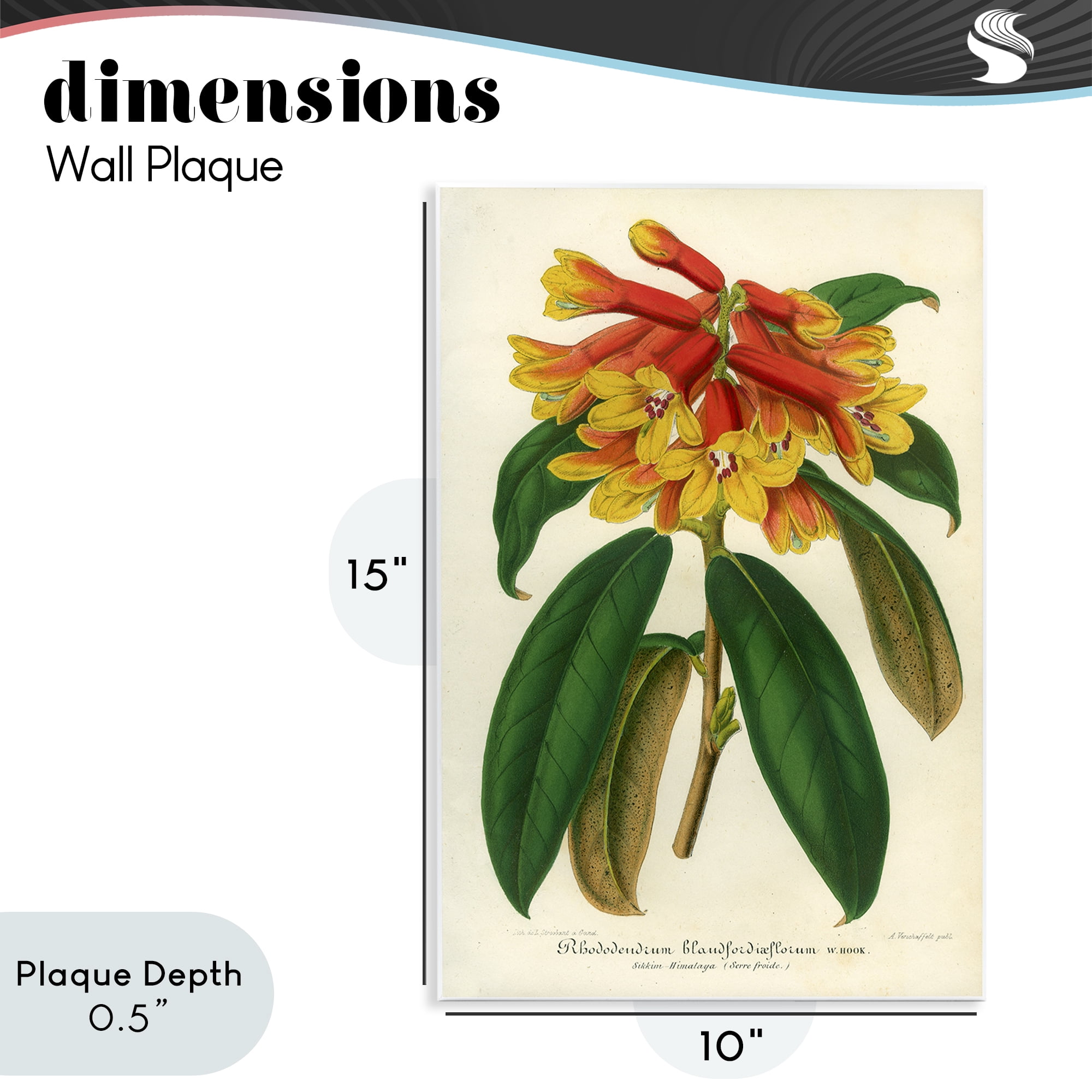 Stupell Industries Orange Yellow Rhododendron Wall Plaque Art, design by Print Collection