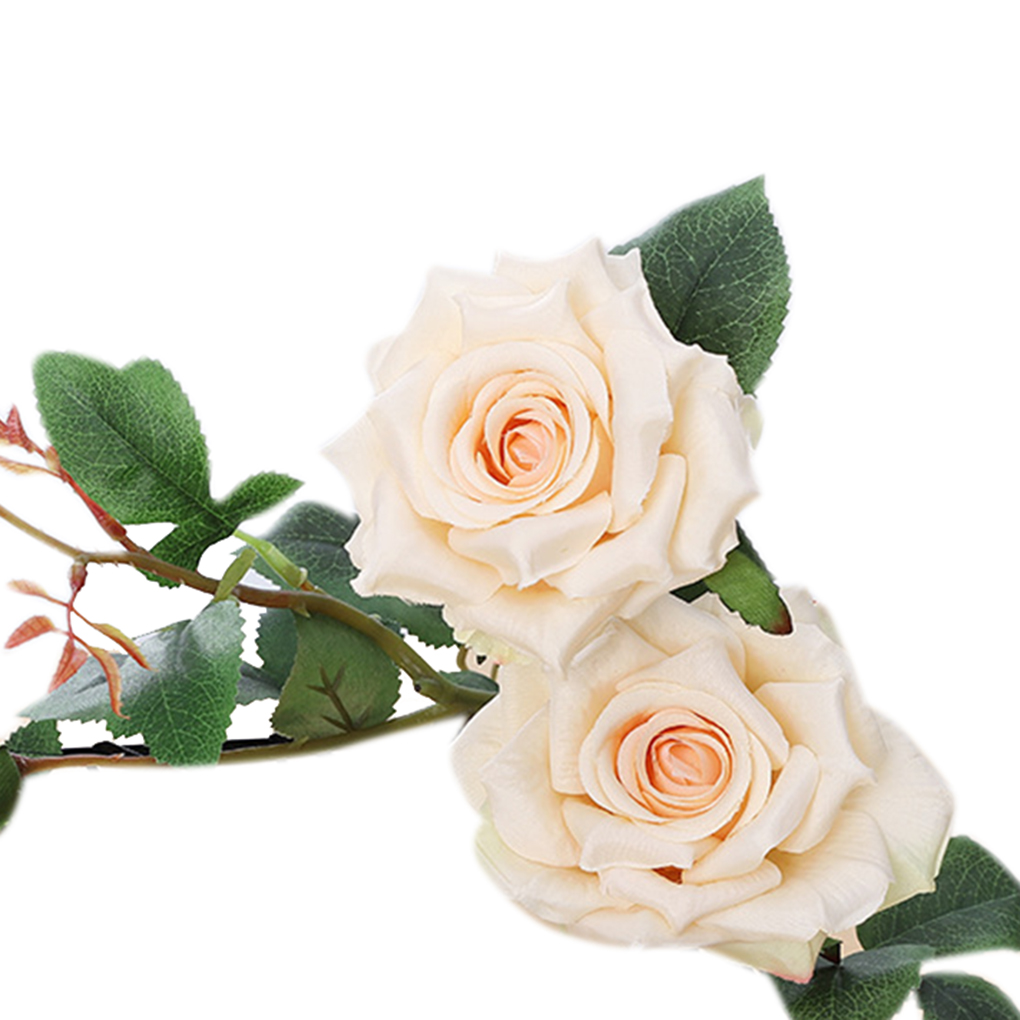 false white roses
