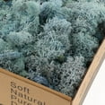 thumbnail image 3 of facefd Natural Dried Reindeer Moss Treated Immortal moss Crafts DIY Floral Decor Light Blue, 3 of 5