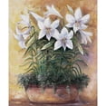 thumbnail image 3 of Withaar, Rian 12x14 Black Modern Framed Museum Art Print Titled - White lilies in bowl, 3 of 5