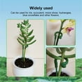 thumbnail image 7 of HomelyJoy Upgrade Plant Support Stakes, 10 Pack Heavy Duty Plant Stakes for Indoor Plants, Keeps Your Potted Snake Plant, Amaryllis, Orchid Upright, Easy to Install Stem Rods, 7 of 7