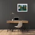 thumbnail image 3 of Rousseau, Henri 18x15 White Modern Wood Framed Museum Art Print Titled - The Repast of the Lion 1907, 3 of 4