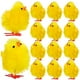 thumbnail image 1 of BRIGHTFUFU 36 Uds. Pollitos de Pascua, pollitos de Pascua, minipollitos, pollitos, decoraciones para pollitos de Pascua, 1 of 7