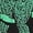 1-Green3331, variant on Tiijoy Boys Dinosaur Print Short Sleeve T-Shirt Shorts Sets Casual Summer Outfits for Kids