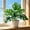 💖Green_New#305, variant on Artificial Monstera Fake Plant, Small Faux Desktop Plant for Indoor Home Decor, Realistic Tropical Plant for Office Desk and Living Room