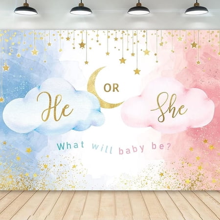 Blue Pink Gender Reveal Backdrop He or She Party Supplies Decorations Photography Background Watercolor Rose Gold Cloud Baby Shower for Newborn Party Decorations Banner Photo Booth Props