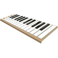 thumbnail image 6 of CME Xkey 25-Key Mobile Keyboard Controller (Champagne), 6 of 6