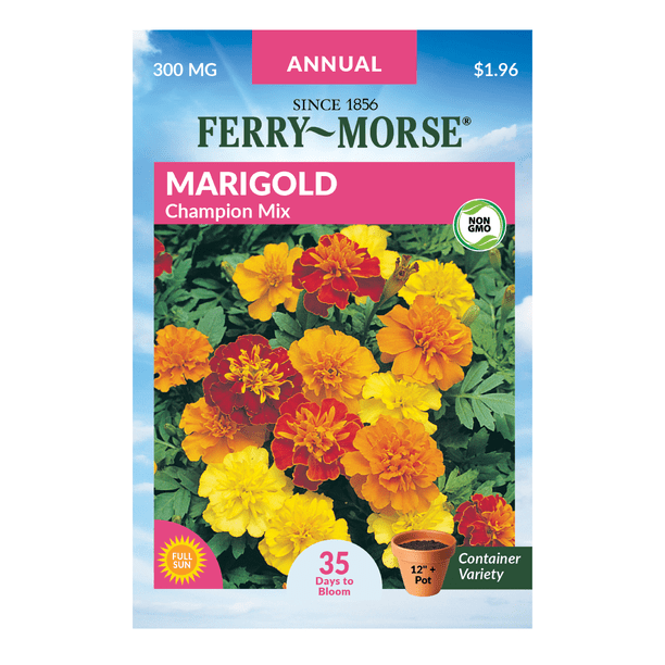 Ferry Morse Champion Marigold Seeds Since 1856 Non Gmo Guaranteed Fresh Annual Flower Gardening Seeds Walmart Com Walmart Com