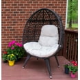 thumbnail image 2 of Linon Kipling Modern Oval Indoor Outdoor Rattan Egg Chair, Brown, 2 of 9