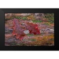 thumbnail image 2 of Mahan, Kathy 18x13 Black Modern Framed Museum Art Print Titled - On a Log I, 2 of 5