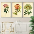 thumbnail image 2 of PixonSign Framed Wall Art Print Set Vintage Watercolor Rose & Peony Variety Floral Wilderness Illustrations Modern Art Glam Colorful Multicolor Cool for Living Room, Bedroom, Office - 16"x24"x3 White, 2 of 5