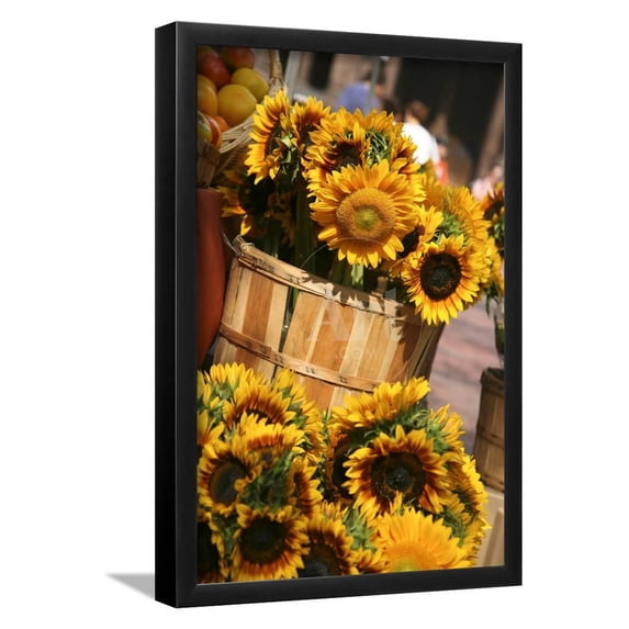 Sunflowers for Sale in Copley Square in Boston Massachusetts, Framed Art Print Wall Art by pdb1 Sold by Art.Com