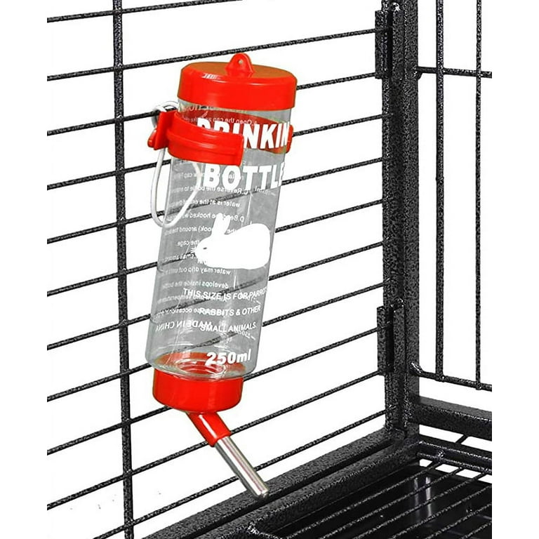 Large guinea top pig water bottle