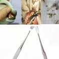 thumbnail image 6 of Orchip Stainless Steel Pet Tooth Scaler, Double Header Plaque Remover for Dog Cat, 6 of 6