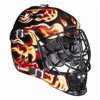 Franklin SX Pro 100 Street Hockey Goalie Mask