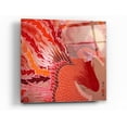 thumbnail image 1 of Epic Art 'Red Peacock' by Zigen Tanabe, Acrylic Glass Wall Art, 36"x36", 1 of 1