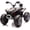 Black, variant on 24V 2-Seater Electric Ride-On ATV, 350W Four-Wheel Off-Road Quad with High/Low Speed, Removable Battery, Rear Hydraulic Suspension, 110 Lbs