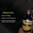 thumbnail image 3 of Vitamina E Naturalezam 1200 IU 500mg 100 Capsulas Blandas 3 Pzs, 3 of 4
