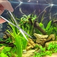 thumbnail image 3 of Stainless Steel Spring Shears for Aquarium Use Silver Professional Aqua Plant Scissors 7.5 inches, 3 of 8