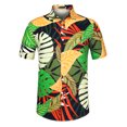 thumbnail image 1 of Camisa con estampado floral Lars Amadeus para hombre Camisas de playa de verano manga corta botones Verde blanco XXL, 1 of 6