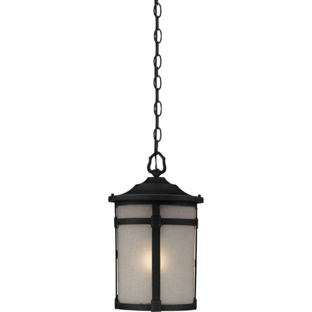 Artcraft Lighting St. Moritz AC8645BK Outdoor Ceiling Light