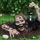thumbnail image 5 of Zombi Con Linterna Led, Estatuas De Jardín De Zombis De Resina, Película De Terror, Estatua De Gnomos De Jardín Para Jardín Al Aire Libre, Patio, Césped ANGGREK Otros, 5 of 8