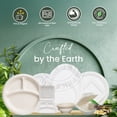 thumbnail image 4 of FPN Disposable Plates 3 Compartment 10 in, 125-Pack, Compostable, Microwave-Safe for every Events parties gathering, 4 of 7