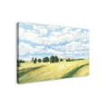 thumbnail image 2 of Creative Products Rolling Rural Landscape 32x48 Canvas Wall Art, 2 of 5
