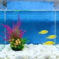 thumbnail image 3 of Dpityserensio Artificial Seaweed Water Plants And Flowers Decorative For Aquarium Landscaping For Fresh Water And Saltwater Tanks, 3 of 6